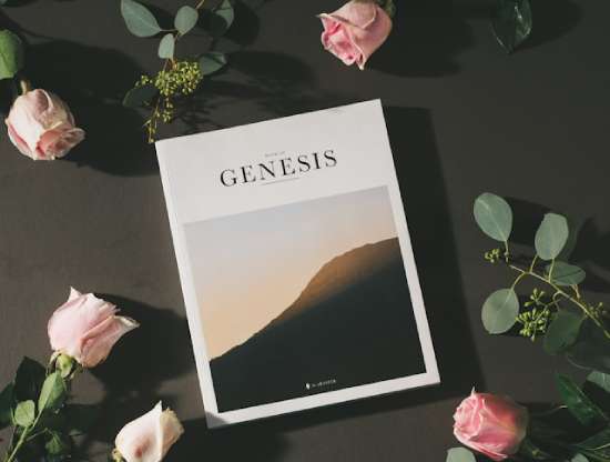 Book of Genesis, Bible with pink roses and leaves on gray background table A copy of the book of Genesis surrounded by roses.