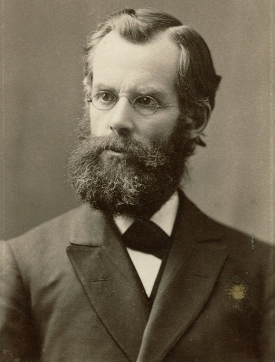 J. N. Andrews