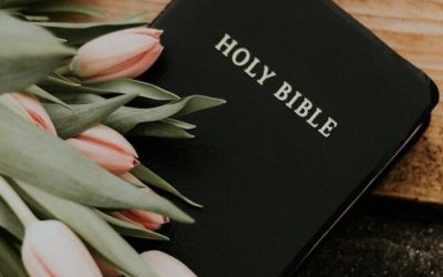¿Fue todo lo que dijo Elena G. de White inspirado divinamente?