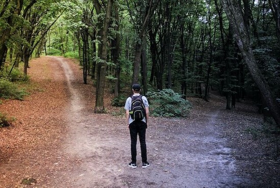 Crossroads A man standing before two paths, illustrating Joshua's words to choose whom we will serve
