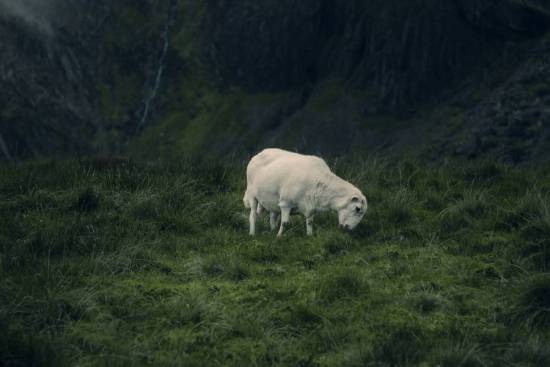 A cutout of the tomb of Jesus that says, He is not here.