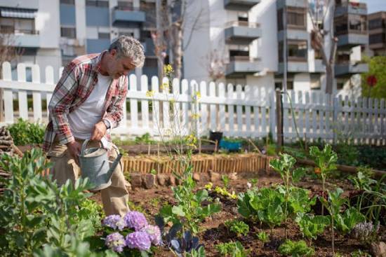A man waters his plants in a community garden behind apartments. Some urban places off spaces for residents to plant their own gardens.