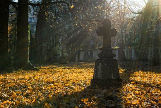A graveyard covered in fall leaves