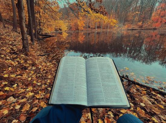 Someone surrounded by colorful leaves reads an open Bible.