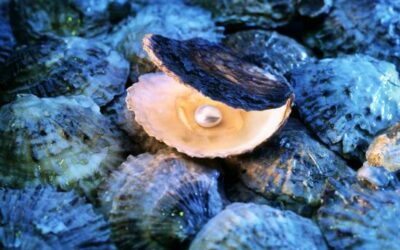 What Does the Parable of the Pearl of Great Price Mean?