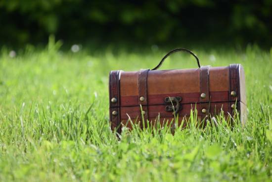  A small wooden chest with a clasp sits in the grass.