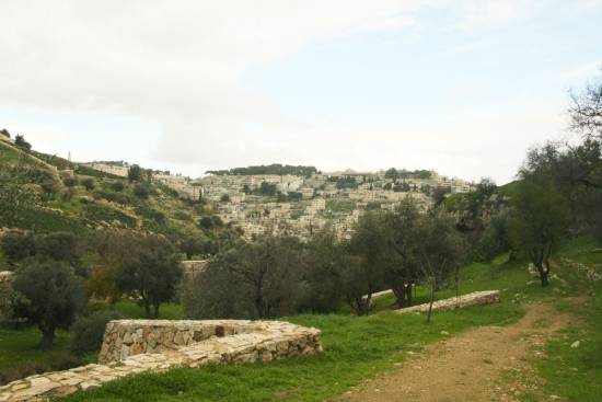 A picture of the Valley of Hinnom.