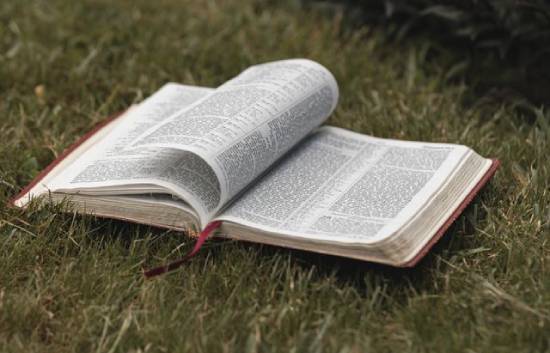The pages of a Bible laying in green grass turn with the breeze.