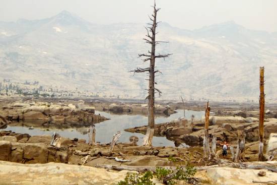 A smoky image of a dry landscape with bare trees and no greenery.
