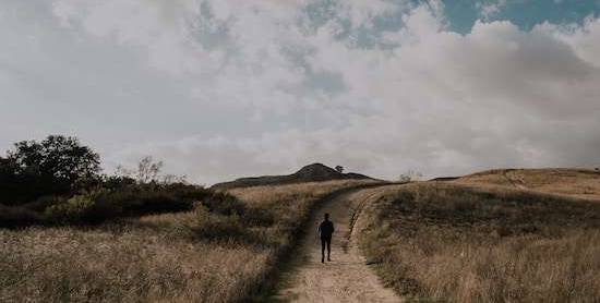 A man on a dirt pathway through a field