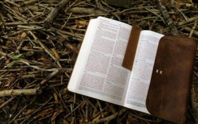 O Que os Adventistas do Sétimo Dia Acreditam Sobre os Dons Espirituais na Bíblia